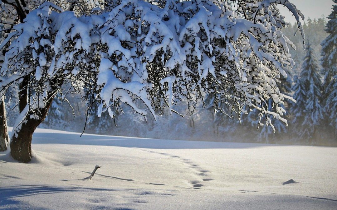 Comment limiter sa consommation d&rsquo;énergie cet hiver ?