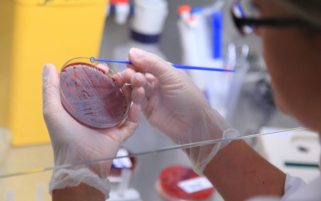 Laboratoire : fermeture exceptionnelle durant les fêtes